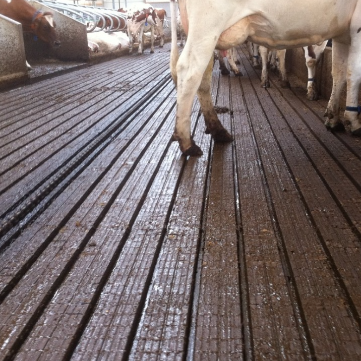 Ik koos voor zekerheid | Concrelit Stalvloeren