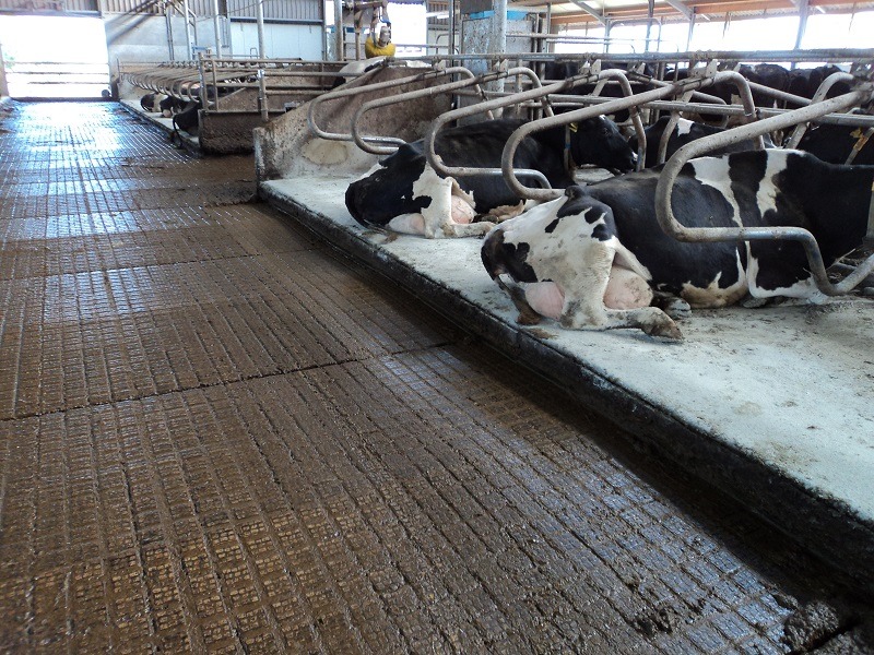 Nog veel meer vloeren | Concrelit Stalvloeren
