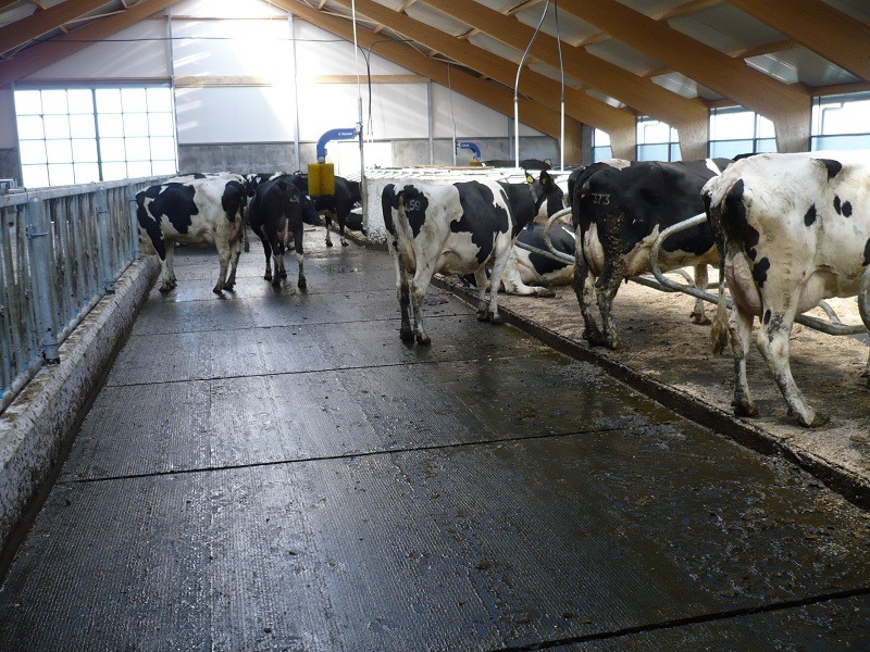 Nog veel meer vloeren | Concrelit Stalvloeren