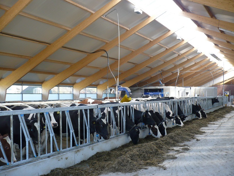 Nog veel meer vloeren | Concrelit Stalvloeren