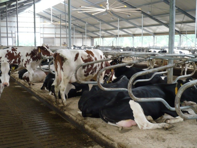Nog veel meer vloeren | Concrelit Stalvloeren