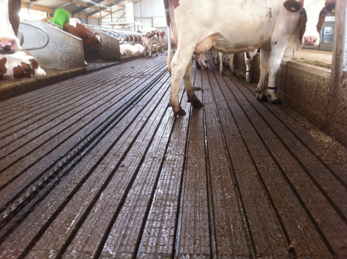 Nog veel meer vloeren | Concrelit Stalvloeren