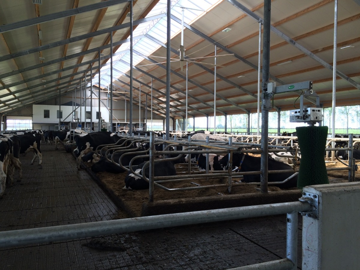 Nog veel meer vloeren | Concrelit Stalvloeren