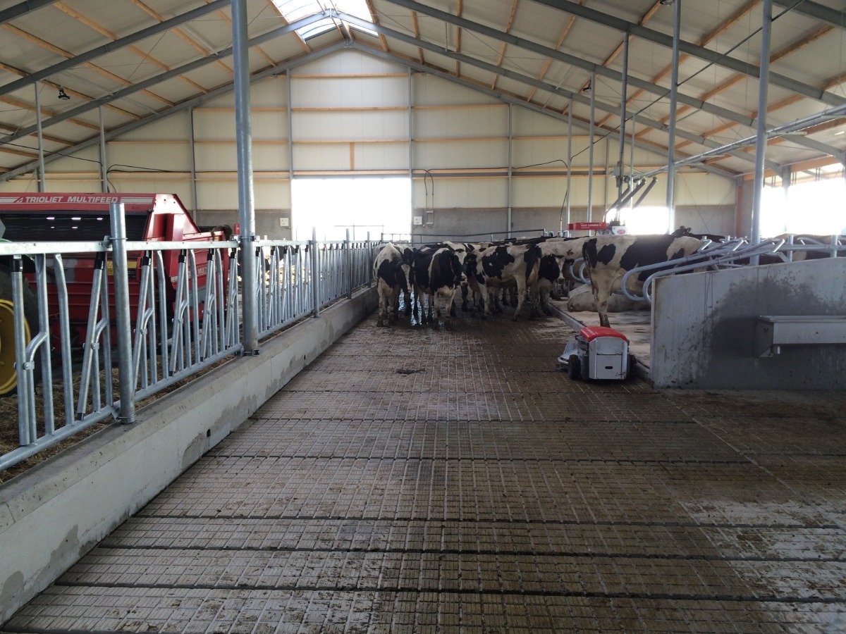 Nog veel meer vloeren | Concrelit Stalvloeren