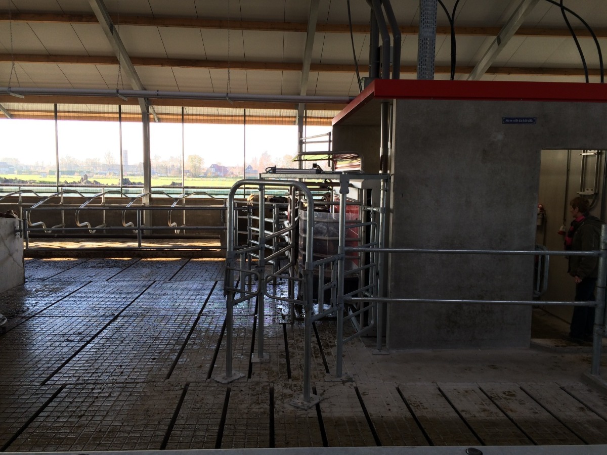 Nog veel meer vloeren | Concrelit Stalvloeren