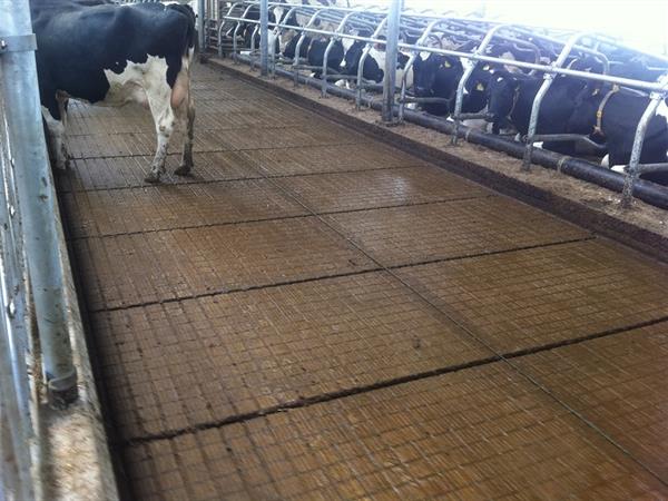 c6-getrokken-schuif-fam-hoekstra-rutten-01