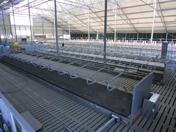 concrelit-stalvloeren-plaatroosters-004