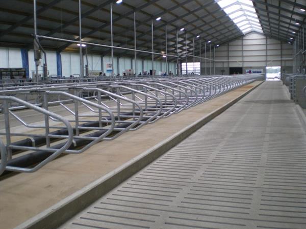 concrelit-stalvloeren-plaatroosters-010