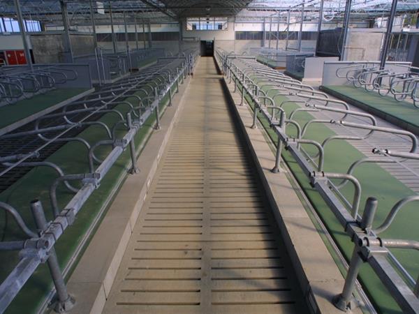 concrelit-stalvloeren-voergangroosters-001