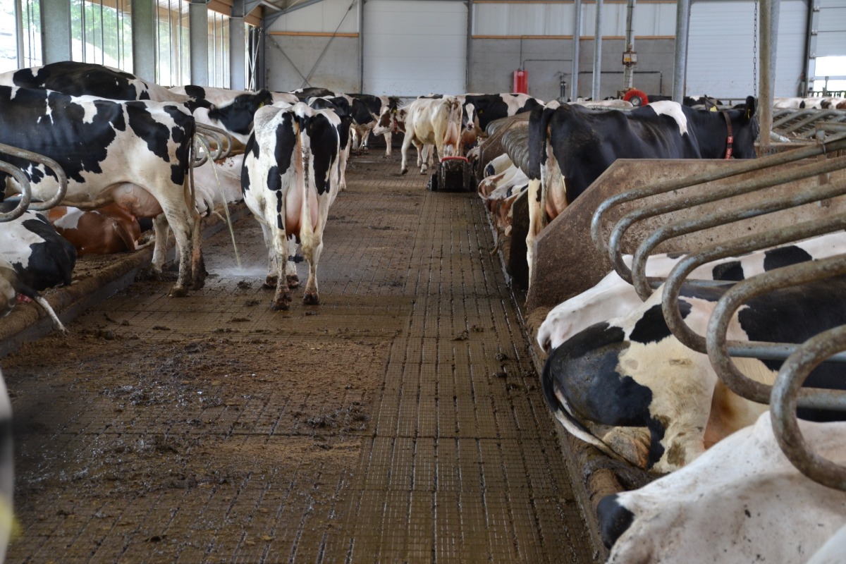 Betonkwaliteit gaf de doorslag | Concrelit Stalvloeren